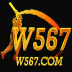 w 567 game